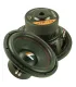 Subwoofer Limited 2000 Watts 12"