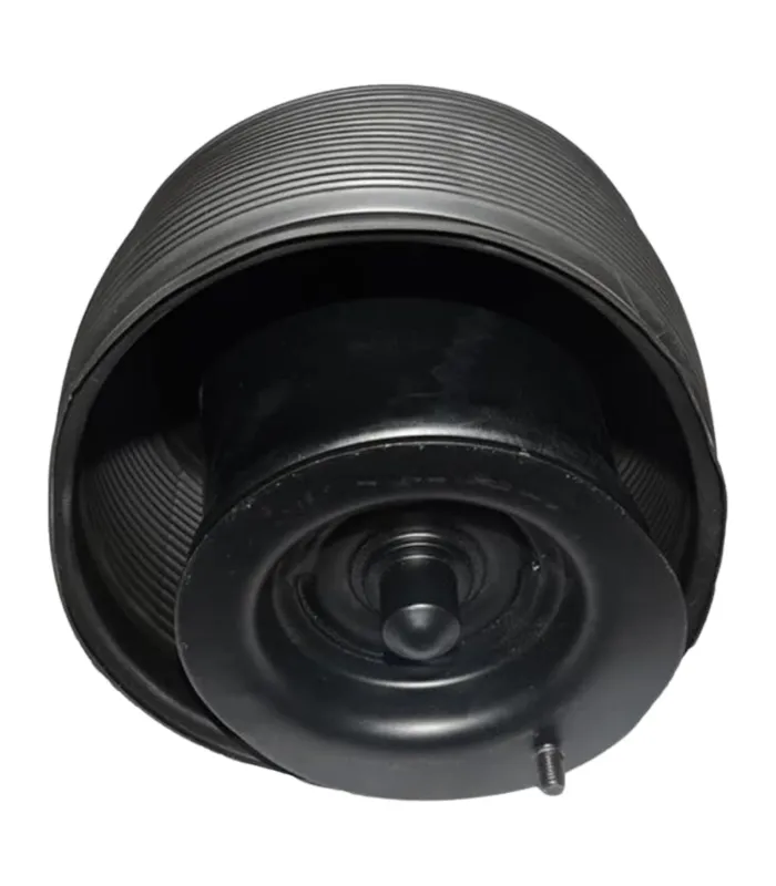 Yoyos Traseros Toyota Prado - Lexus GX470 2003 - 2009