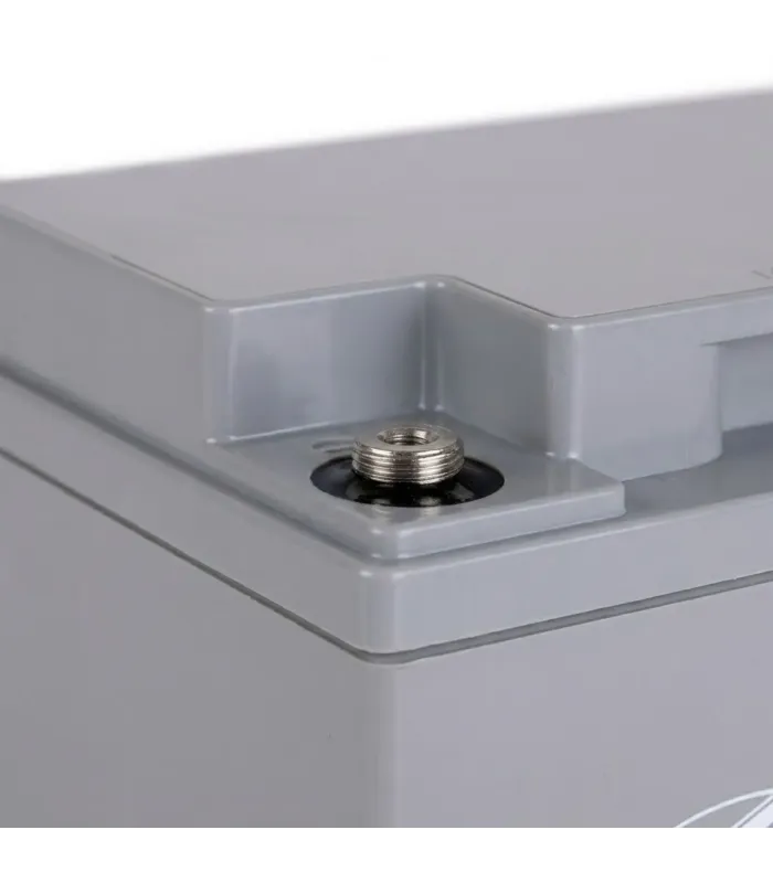 Bateria Interstate 12V 44Ah para UPS Inversores Telecomunicaciones Libre de Mantenimiento Sellada Respaldo de Energia Detallado