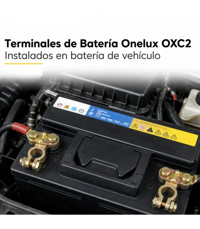 Terminales de batería Onelux OXC2 Auto