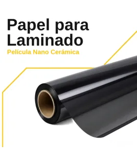 Detalle del tapizado en túnel central del vehículo