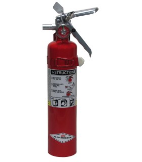 Extintor de fuego Amerex de 2.5 Libras B417T