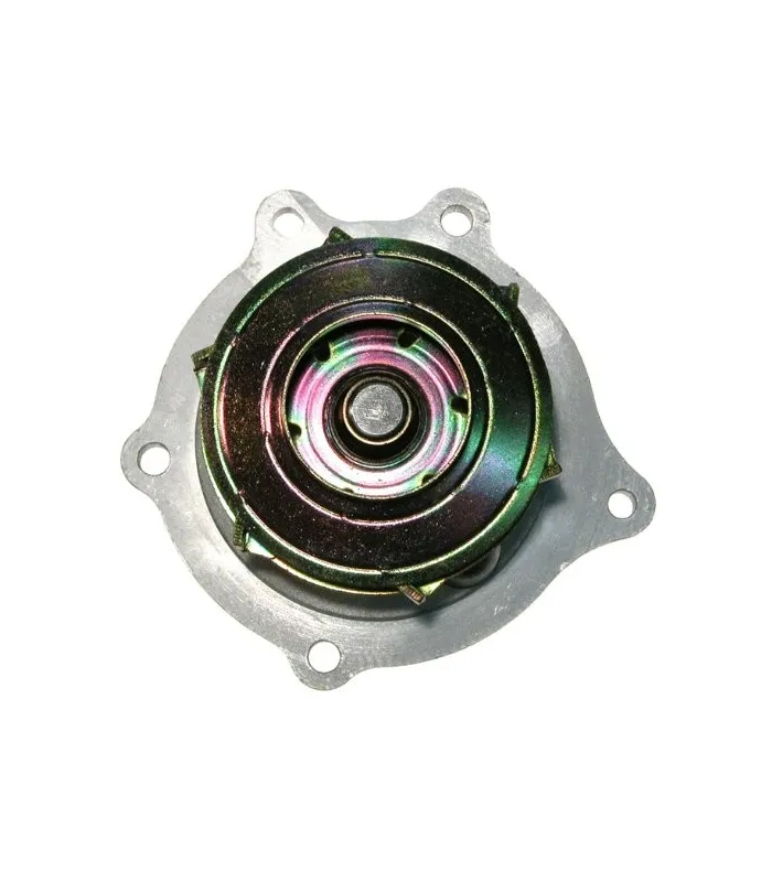 Bomba De Agua-Chevrolet Colorado 2007