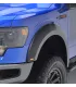 Ford F150 2009-2019-Fender Flare