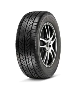 Goma 215/60R16 Bridgestone Potenza G019 Montura y Envío Gratis República Dominicana