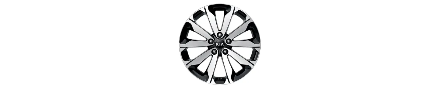 Venta de Aros para Vehículos en RD | Deportivos y de Lujo | Auto Fashion